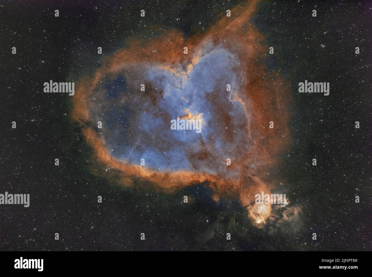 Der Herznebel (IC 1805) & Fischkopfnebel (IC 1795) Emissionsnebel im Sternbild Cassiopeia Casseopeiae. Fotografiert aus Großbritannien Stockfoto