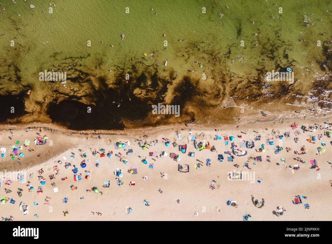 Ostseeküste, Menschen, die während des heißen Sommerwochenendes im Meer baden, direkt über der Perspektive Stockfoto