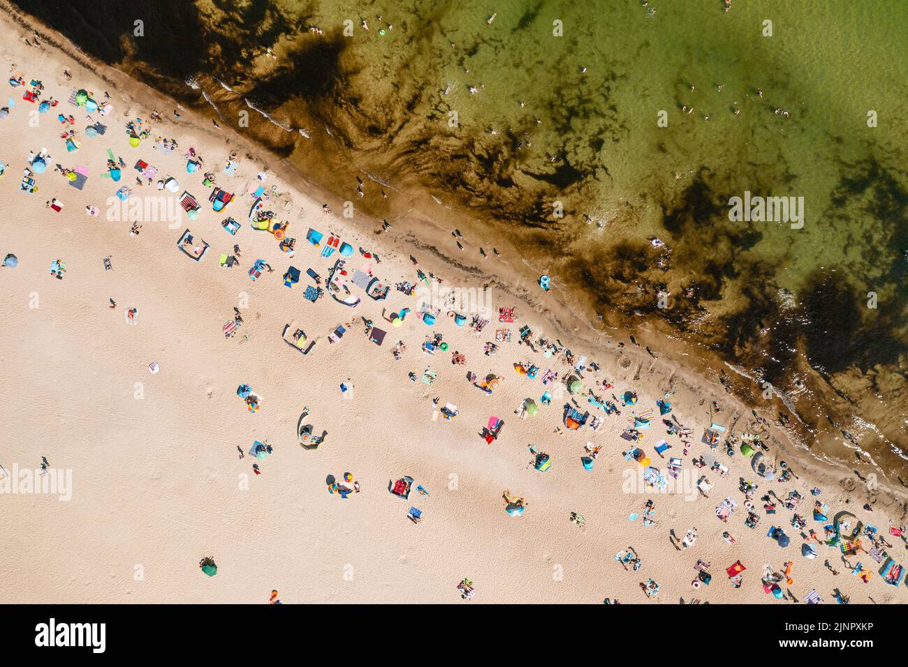 Ostseeküste, Menschen, die während des heißen Sommerwochenendes im Meer baden, direkt über der Perspektive Stockfoto