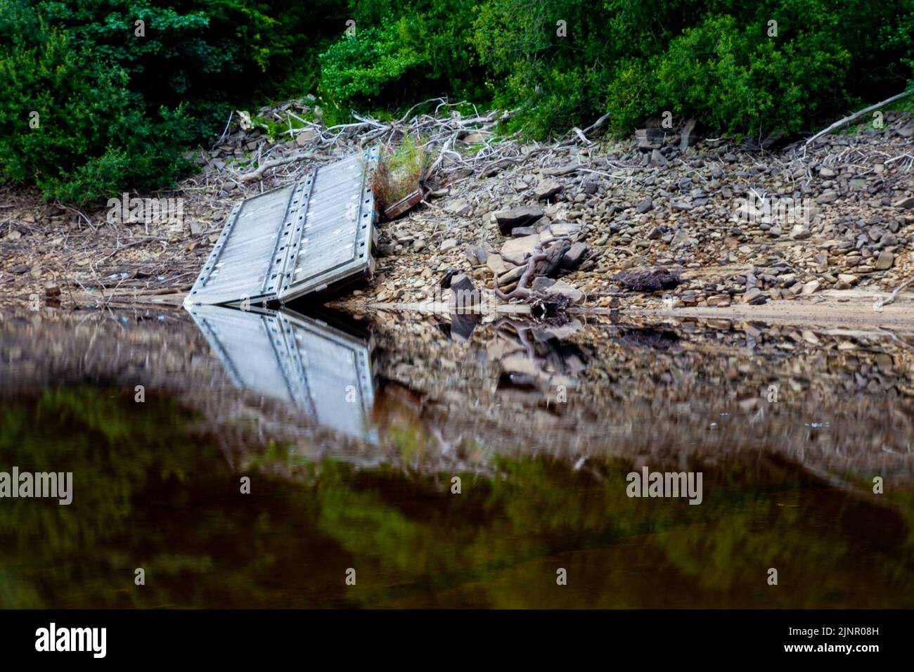 Reflections am Rande des Ladybower Reservoir im Peak District National Park, Derbyshire, Großbritannien Stockfoto