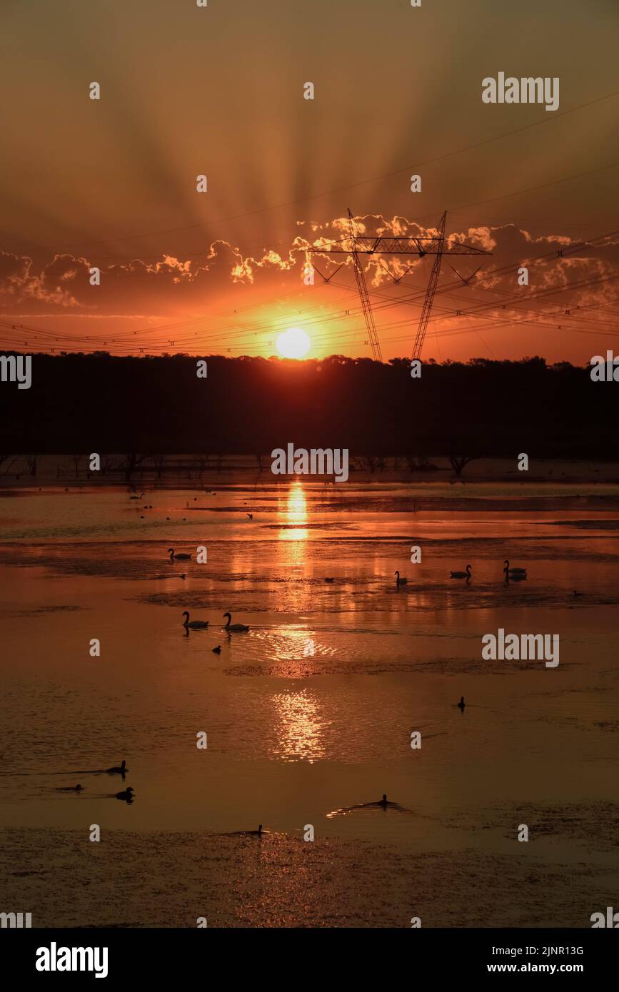 Sonnenuntergang in der Lagune von Pampas, Provinz La Pampa, Patagonien, Argentinien. Stockfoto