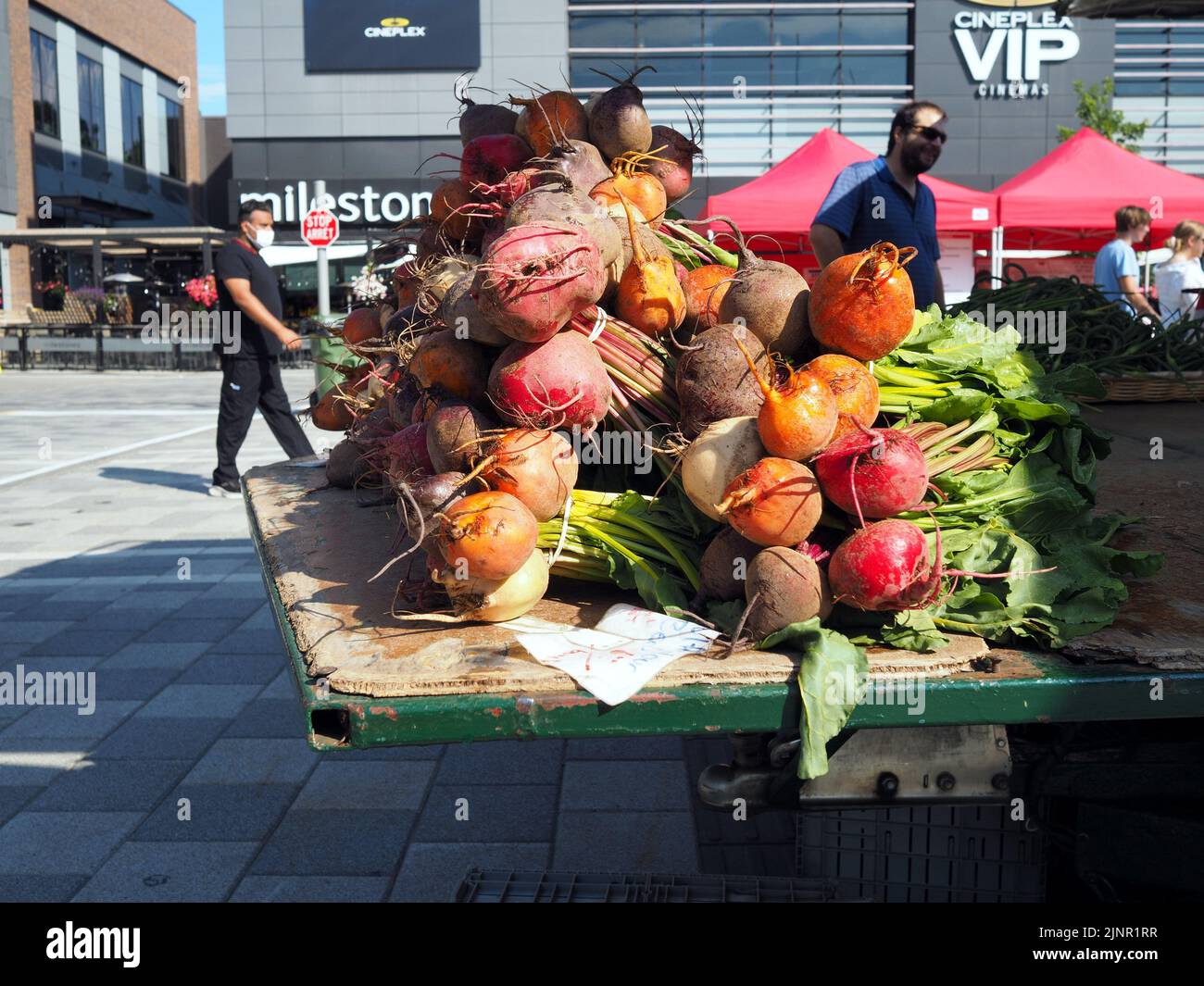 Szenen vom Farmer's Market am Lansdowne Place. Mehrfarbige Rüben auf einem Bösteltisch. Ottawa, ON, Kanada. Stockfoto