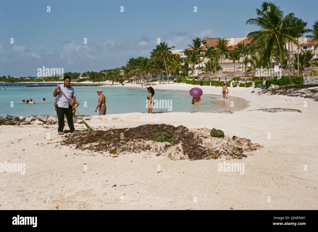 Ein Mann am Strand reinigt im August 2022 große Mengen Sargassum-Algen in Puerto Aventuras Quintana Roo, Mexiko, während Touristen den Strand genießen. Stockfoto