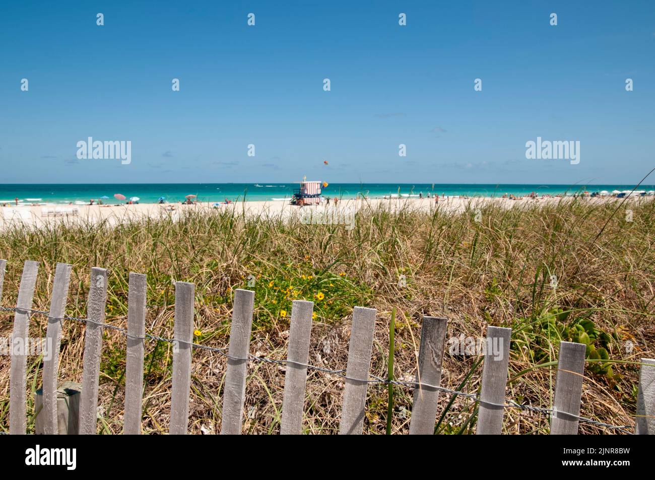 Überblick über Miami South Beach mit Dünen und wilder Vegetation, geschützt durch einen Holzzaun Stockfoto