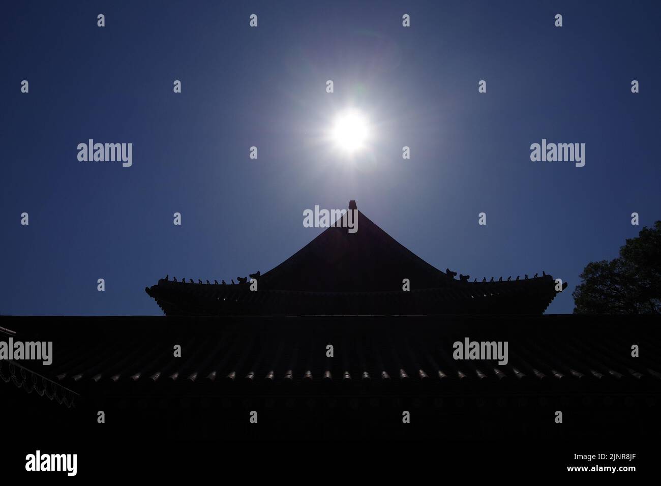 Tagesausflug bei gutem Wetter Stockfoto