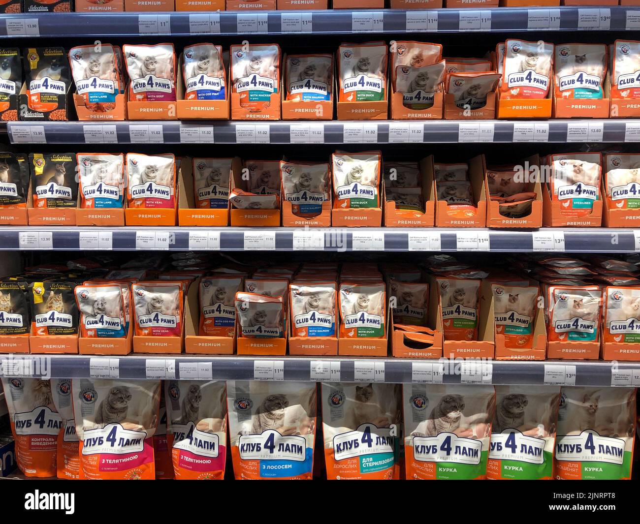 13.08.2022, Ukraine, Kharkiv, ein Regal in einem Supermarkt mit Dosenfutter für Hunde .Mahlzeit für Hund . Fleischkonserven mit Sauce in Dose Stockfoto