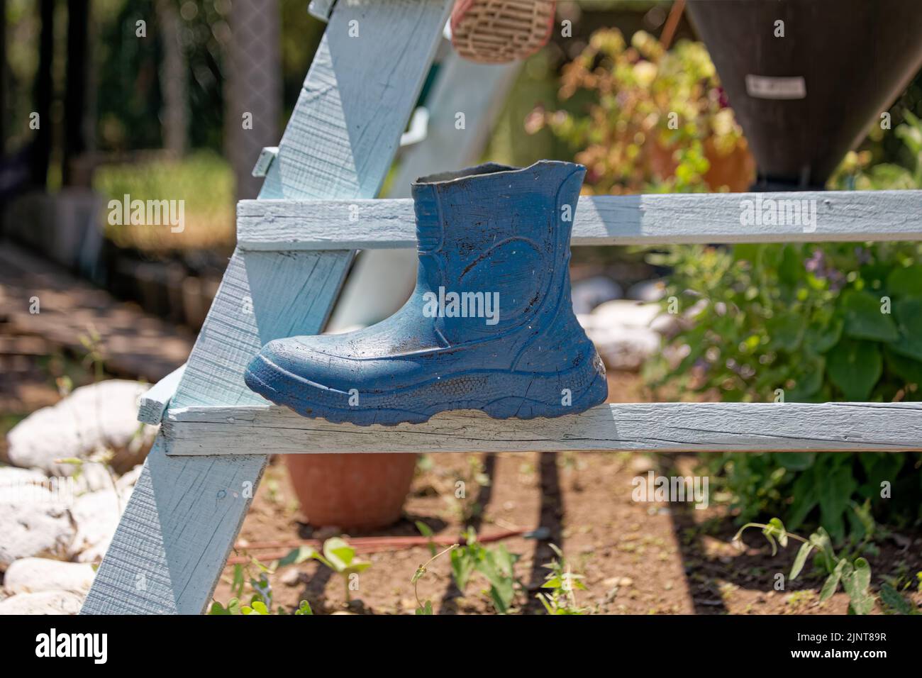 Blumentopf vom Toilettensitz für Upcycling-Zwecke. Kreative Gartenarbeit, Dekorationsideen. Stockfoto