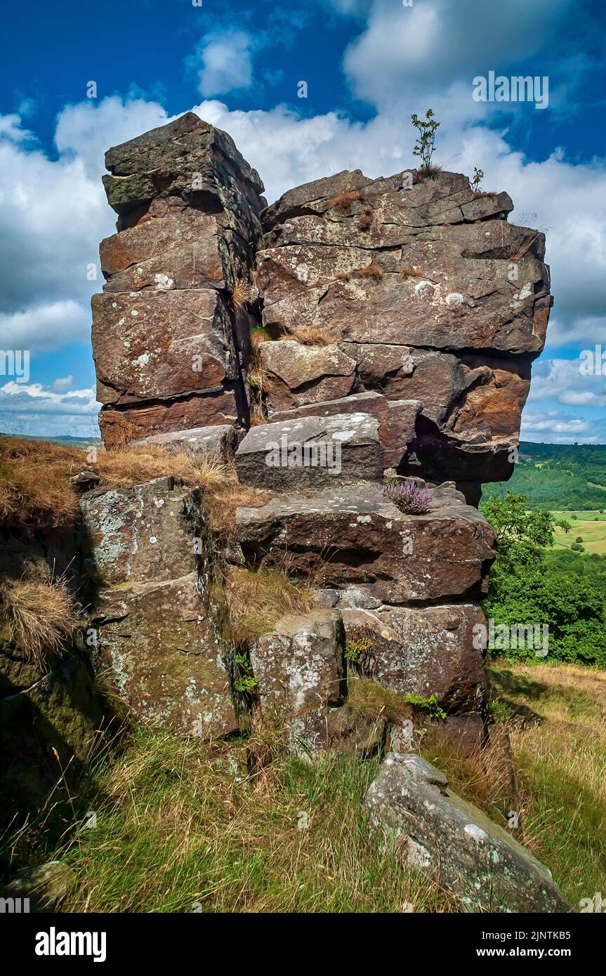 Große Säule aus Grundsteinfelsen, die im Dobb Edge Quarry in der Nähe von Baslow und Chatsworth House, Derbyshire, unbequert wurde. Stockfoto