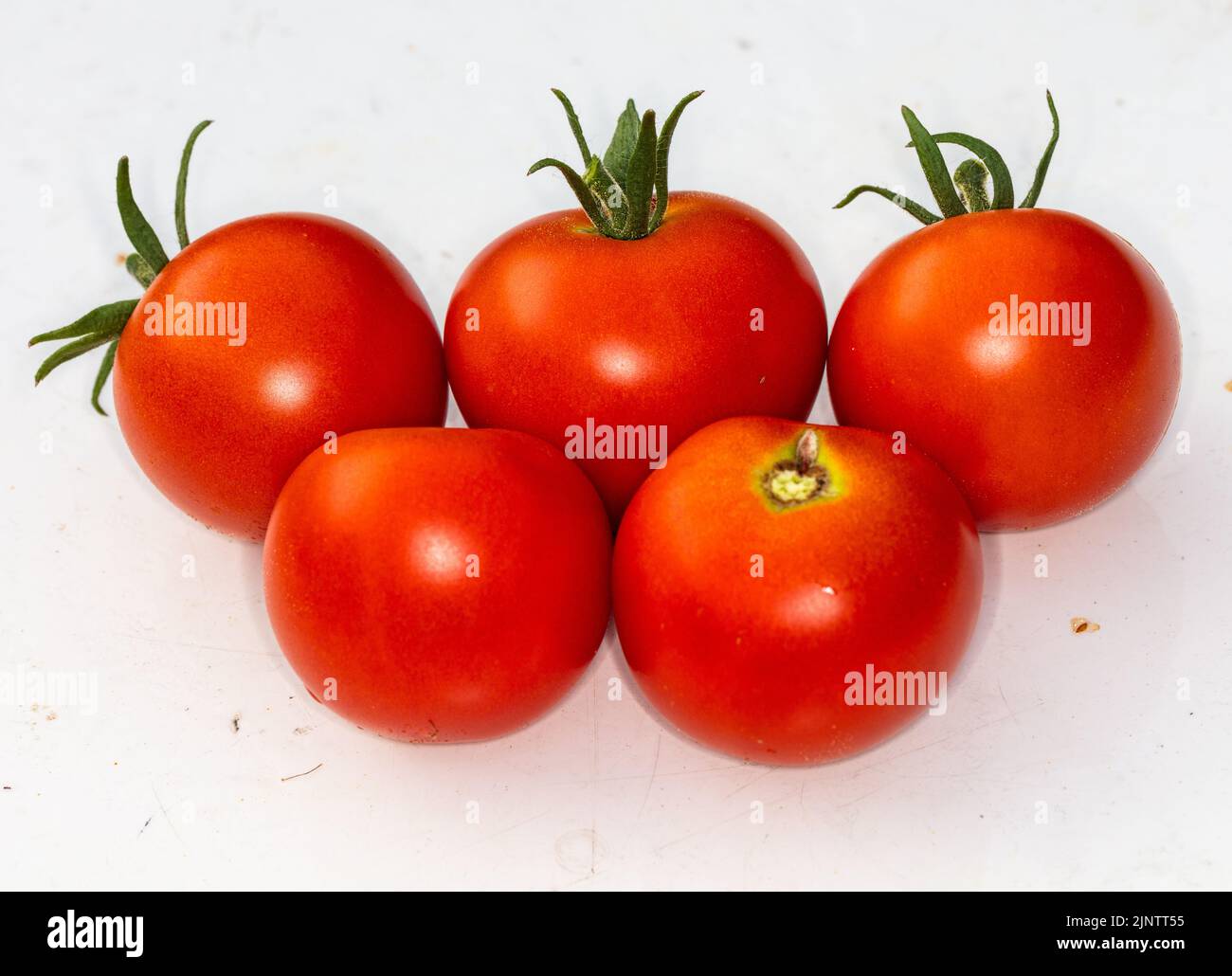 „Alicante“-Tomate, Tomate (Solanum lycopersicum) Stockfoto