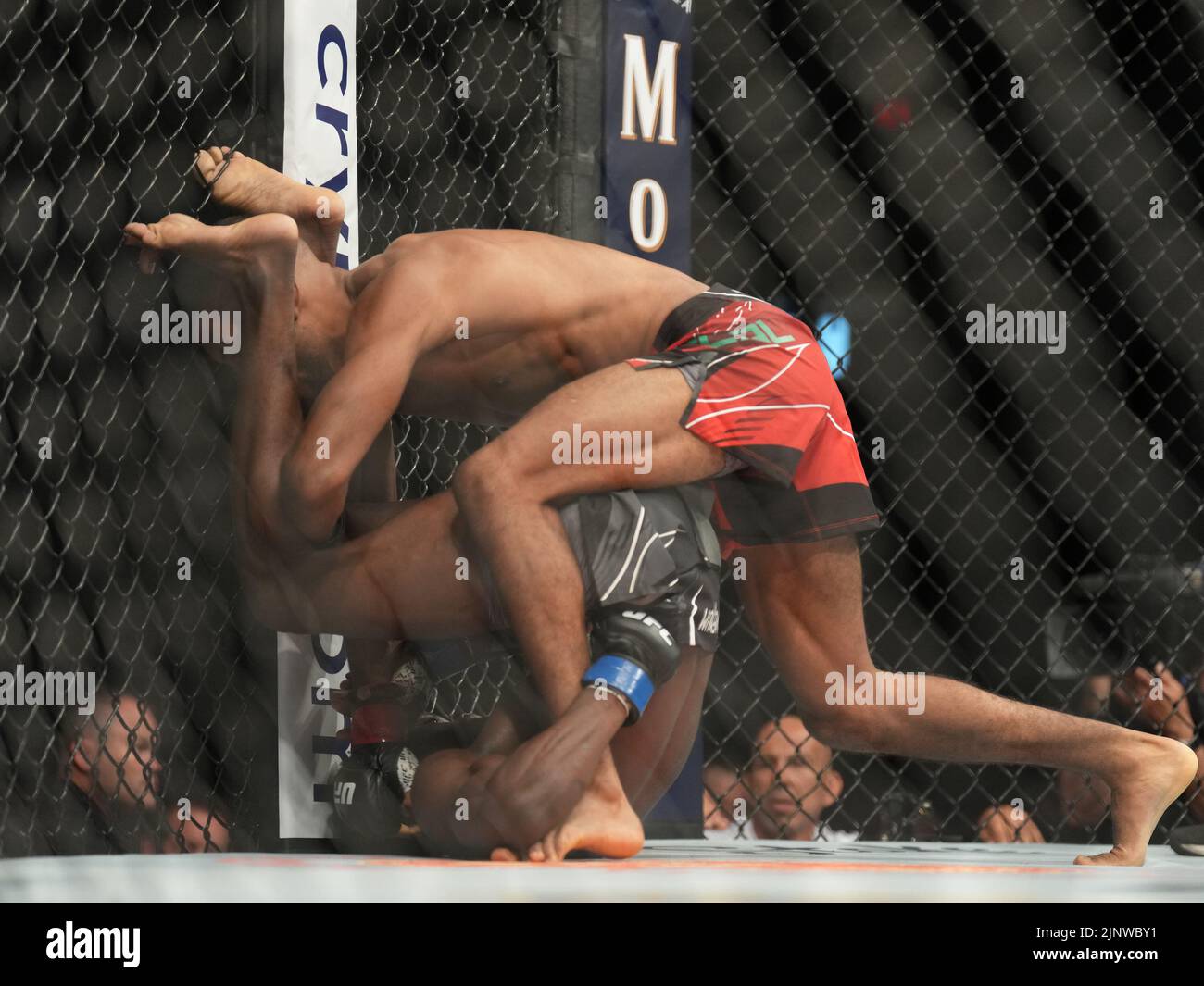 SAN DIEGO, CA - 13. AUGUST: (R-L) Youssef Zalal kontrolliert den Körper von Da’Mon Blackshear in ihrem Bantamweight-Kampf während der UFC-Kampfnacht: Vera gegen Cruz-Veranstaltung in der Pechanga Arena am 13. August 2022 in San Diego, Kalifornien, USA. (Foto von Louis Grasse/PxImages) Credit: Px Images/Alamy Live News Stockfoto