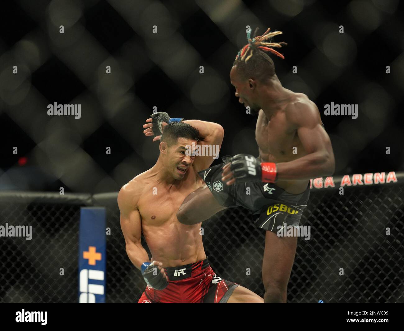 SAN DIEGO, CA - 13. AUGUST: (R-L) Ode Osbourne tritt Tyson Nam in ihrem Flyweight-Kampf während der UFC Fight Night: Vera gegen Cruz-Veranstaltung in der Pechanga Arena am 13. August 2022 in San Diego, Kalifornien, USA, an. (Foto von Louis Grasse/PxImages) Credit: Px Images/Alamy Live News Stockfoto