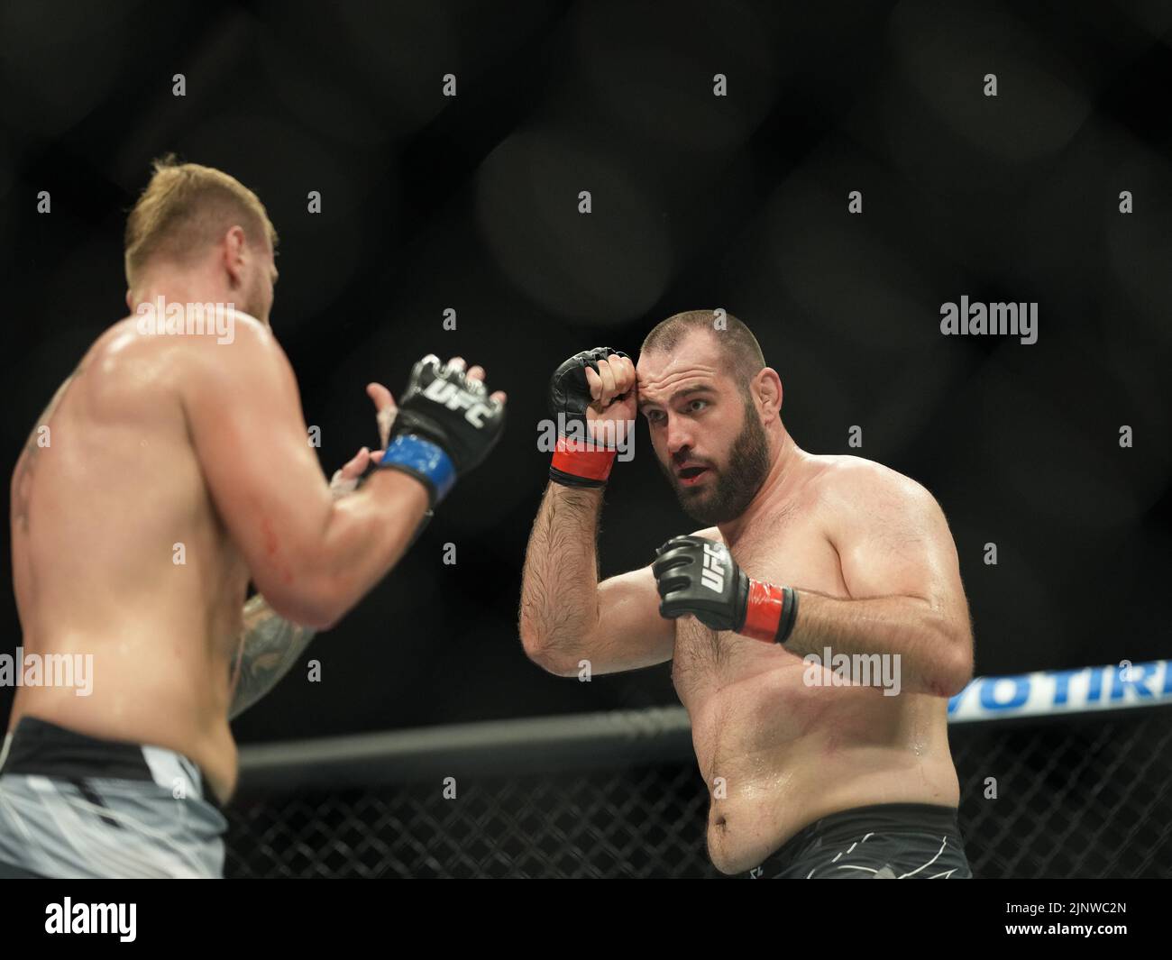 SAN DIEGO, CA - 13. AUGUST: (L-R) Lukasz Brzeski kämpft gegen Martin Buday in ihrem Schwergewicht-Kampf während der UFC Fight Night: Vera gegen Cruz-Veranstaltung in der Pechanga Arena am 13. August 2022 in San Diego, Kalifornien, USA. (Foto von Louis Grasse/PxImages) Stockfoto
