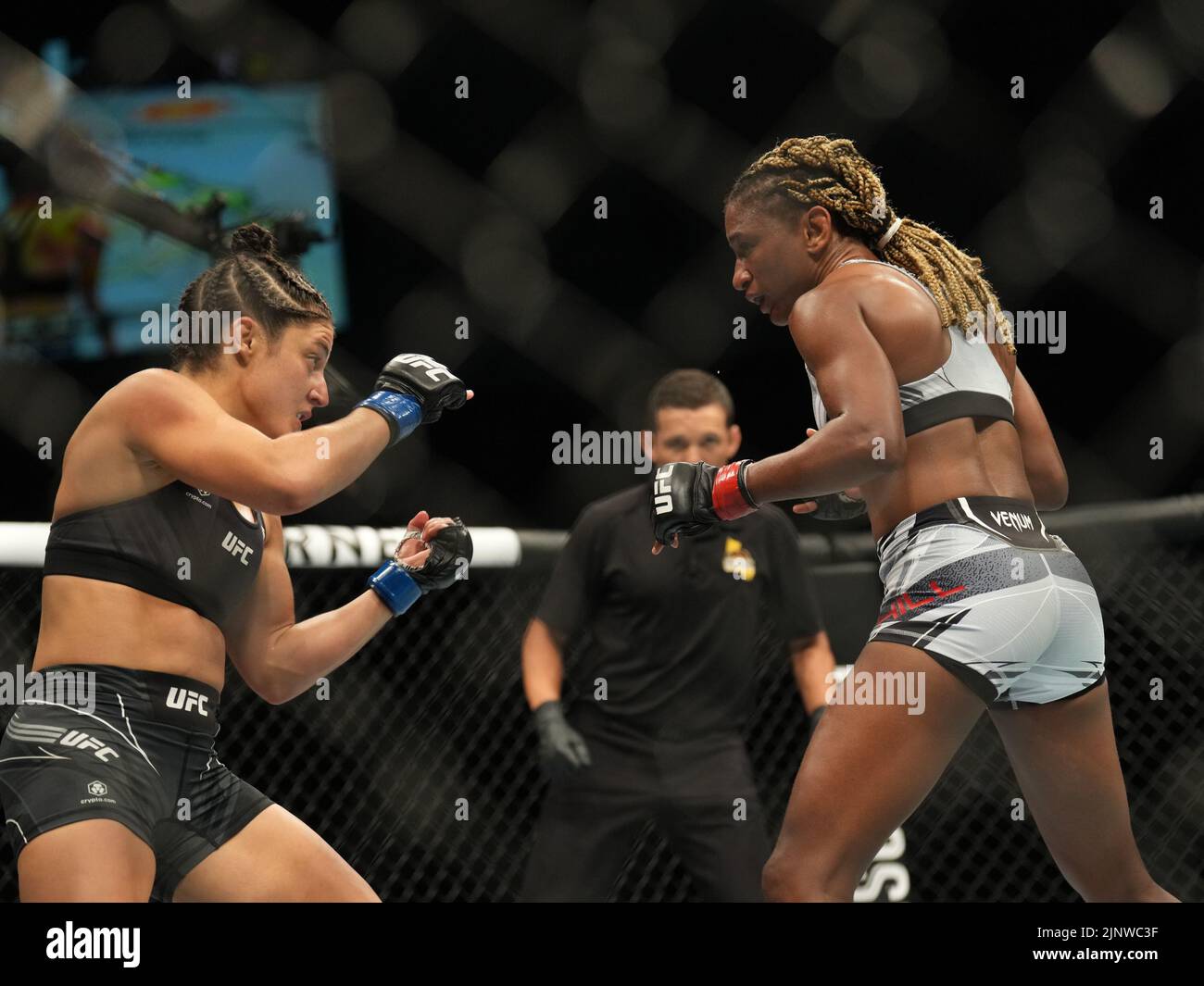 SAN DIEGO, CA - 13. AUGUST: (R-L) Angela Hill kämpft gegen Lupita Godinez in ihrem Catchweight-Kampf während der UFC Fight Night: Vera gegen Cruz-Veranstaltung in der Pechanga Arena am 13. August 2022 in San Diego, Kalifornien, USA. (Foto von Louis Grasse/PxImages) Stockfoto