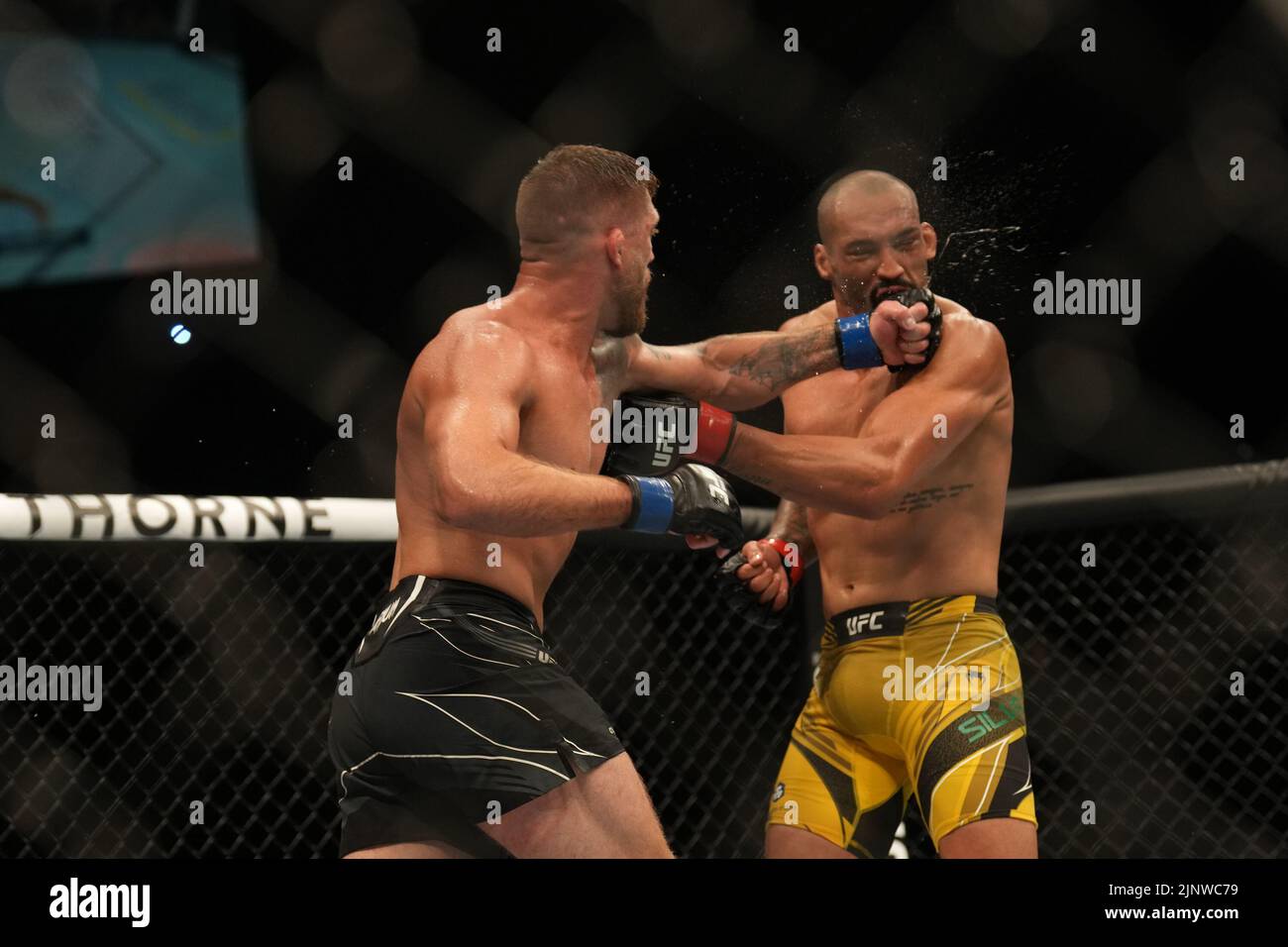 SAN DIEGO, CA - 13. AUGUST: (L-R) Gerald Meerschaert schlägt Bruno Silva während der UFC Fight Night: Vera gegen Cruz in der Pechanga Arena am 13. August 2022 in San Diego, Kalifornien, USA. (Foto von Louis Grasse/PxImages) Stockfoto