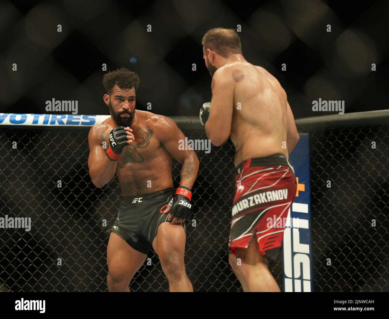 SAN DIEGO, CA - 13. AUGUST: (L-R) Devin Clark kämpft während der UFC Fight Night: Vera gegen Cruz in der Pechanga Arena am 13. August 2022 in San Diego, Kalifornien, USA, gegen Azamat Murzakanov in ihrem leichten Schwergewichtskampf. (Foto von Louis Grasse/PxImages) Stockfoto