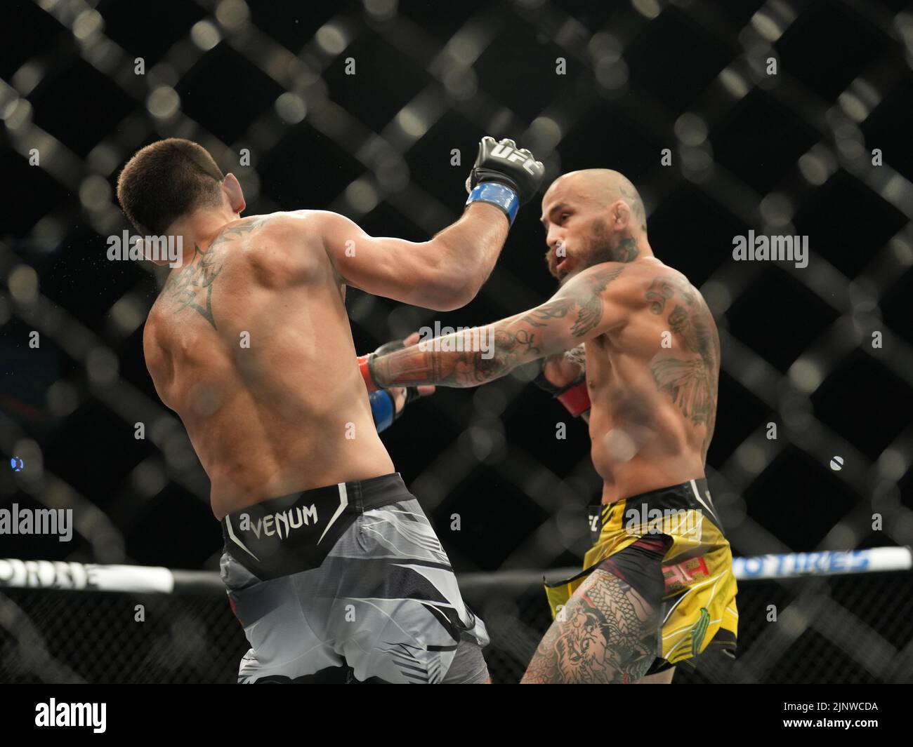 SAN DIEGO, CA - 13. AUGUST: (R-L) Marlon Vera schlägt Dominic Cruz in ihrem Bantamweight-Kampf während der UFC Fight Night: Vera gegen Cruz in der Pechanga Arena am 13. August 2022 in San Diego, Kalifornien, USA. (Foto von Louis Grasse/PxImages) Stockfoto