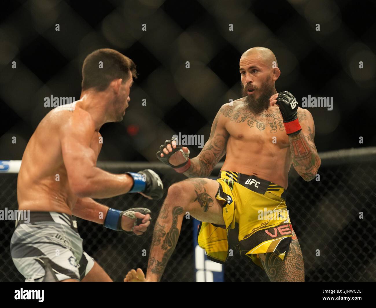 SAN DIEGO, CA - 13. AUGUST: (R-L) Marlon Vera kämpft während der UFC Fight Night: Vera gegen Cruz in der Pechanga Arena am 13. August 2022 in San Diego, Kalifornien, USA, gegen Dominic Cruz. (Foto von Louis Grasse/PxImages) Stockfoto