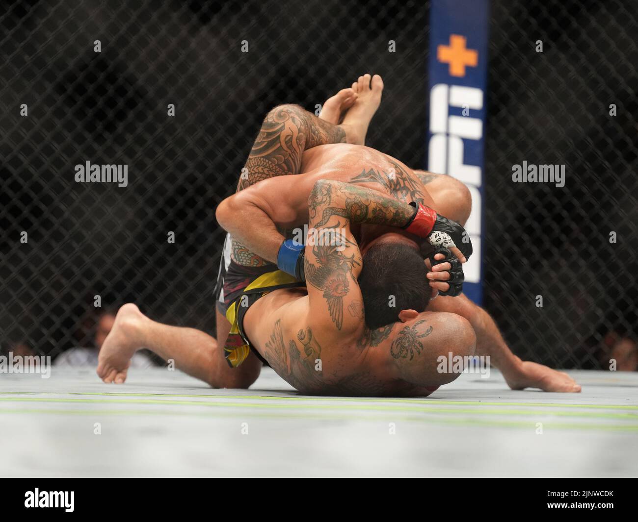 SAN DIEGO, CA - 13. AUGUST: Dominic Cruz (oben) kontrolliert den Körper von Marlon Vera in ihrem Bantamweight-Kampf während der UFC Fight Night: Vera gegen Cruz-Veranstaltung in der Pechanga Arena am 13. August 2022 in San Diego, Kalifornien, USA. (Foto von Louis Grasse/PxImages) Stockfoto