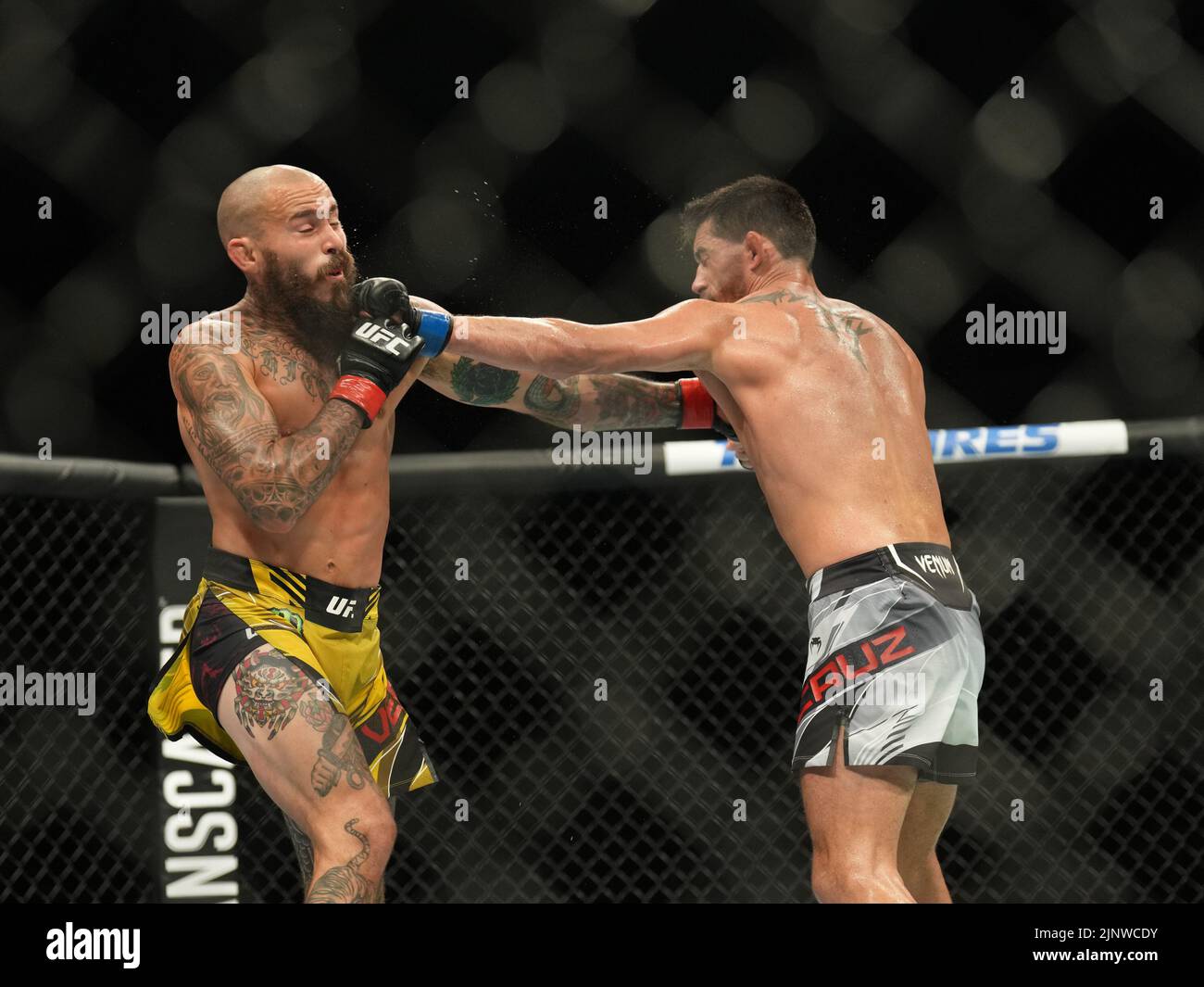 SAN DIEGO, CA - 13. AUGUST: (R-L) Dominic Cruz schlägt Marlon Vera in ihrem Bantamweight-Kampf während der UFC Fight Night: Vera gegen Cruz-Veranstaltung in der Pechanga Arena am 13. August 2022 in San Diego, Kalifornien, USA. (Foto von Louis Grasse/PxImages) Stockfoto
