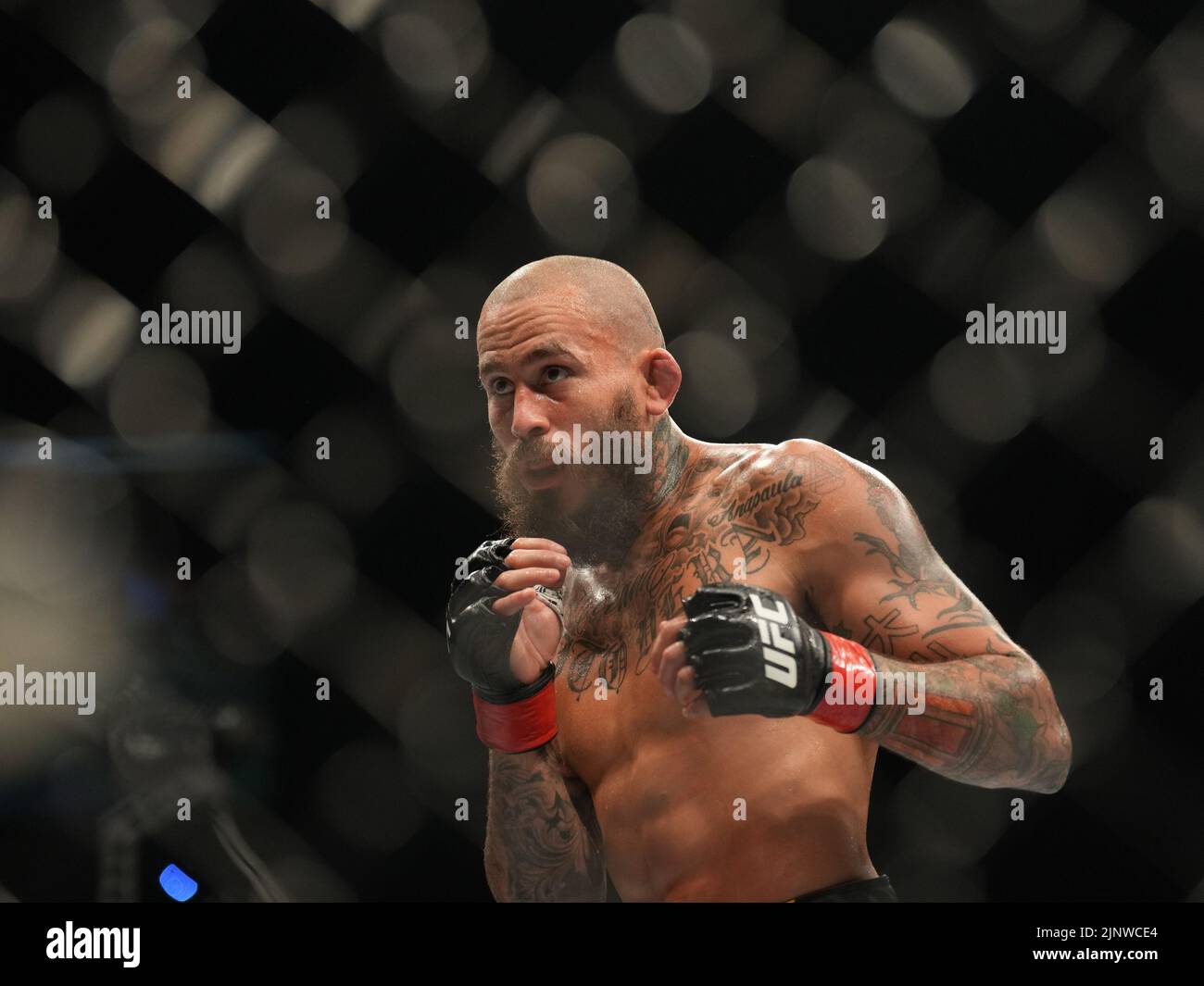 SAN DIEGO, CA - 13. AUGUST: Marlon Vera kämpft während der UFC Fight Night: Vera gegen Cruz in der Pechanga Arena am 13. August 2022 in San Diego, Kalifornien, USA, gegen Dominic Cruz. (Foto von Louis Grasse/PxImages) Stockfoto