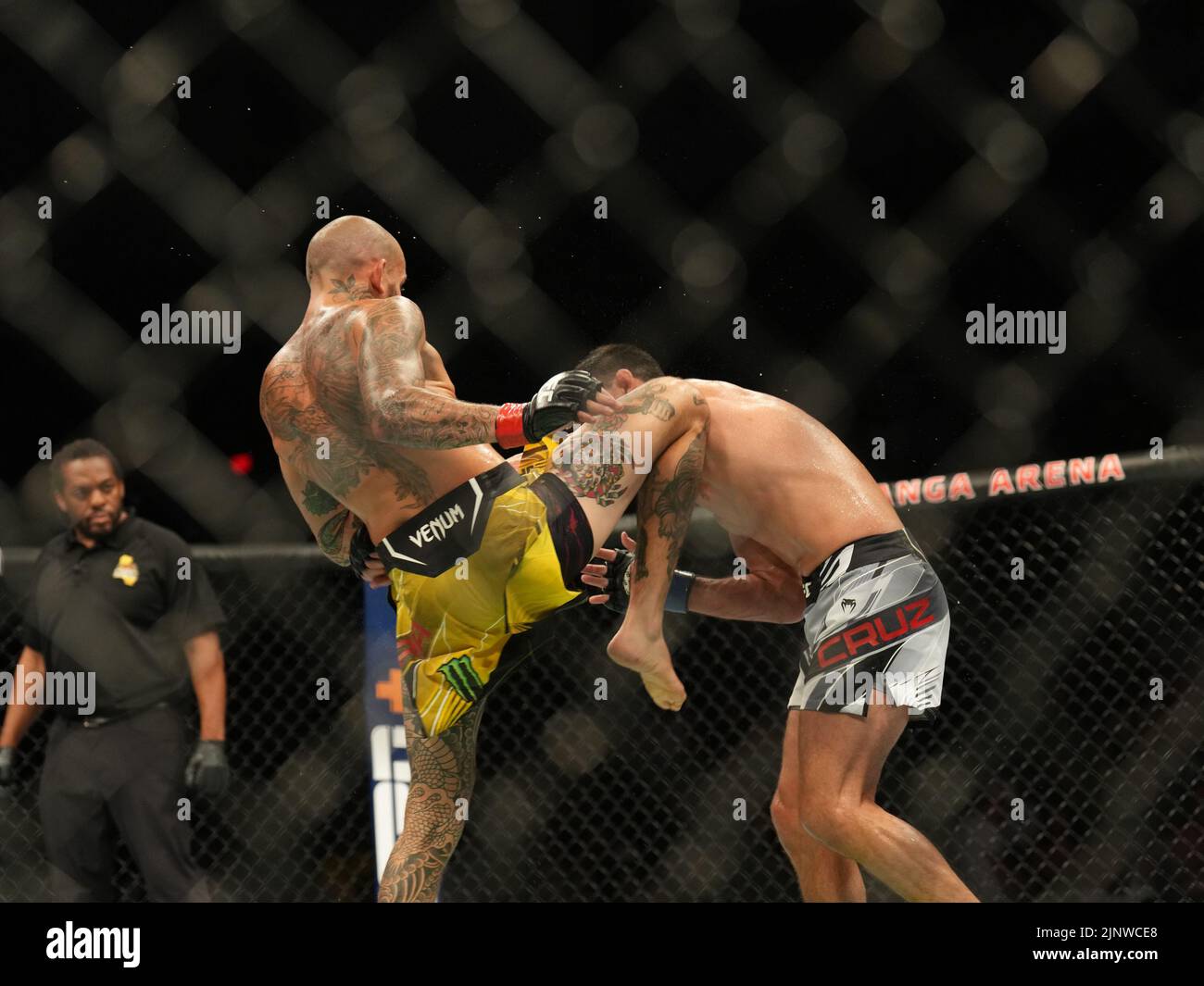 SAN DIEGO, CA - 13. AUGUST: (L-R) Marlon Vera tritt Dominic Cruz in ihrem Bantamweight-Kampf während der UFC Fight Night: Vera gegen Cruz-Veranstaltung in der Pechanga Arena am 13. August 2022 in San Diego, Kalifornien, USA, an. (Foto von Louis Grasse/PxImages) Stockfoto