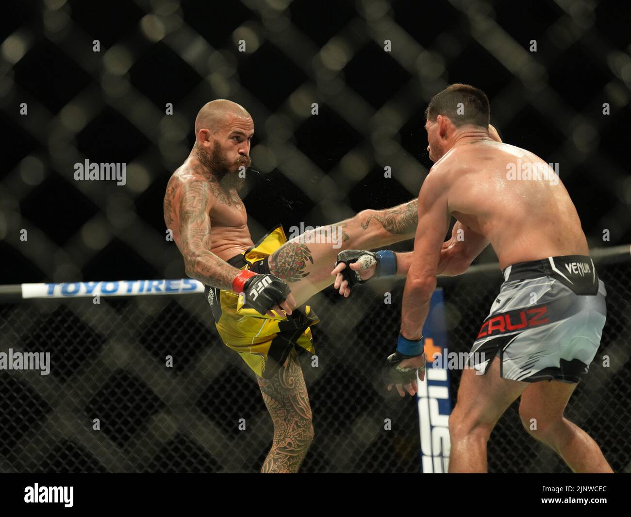 SAN DIEGO, CA - 13. AUGUST: (L-R) Marlon Vera tritt Dominic Cruz in ihrem Bantamweight-Kampf während der UFC Fight Night: Vera gegen Cruz-Veranstaltung in der Pechanga Arena am 13. August 2022 in San Diego, Kalifornien, USA, an. (Foto von Louis Grasse/PxImages) Stockfoto