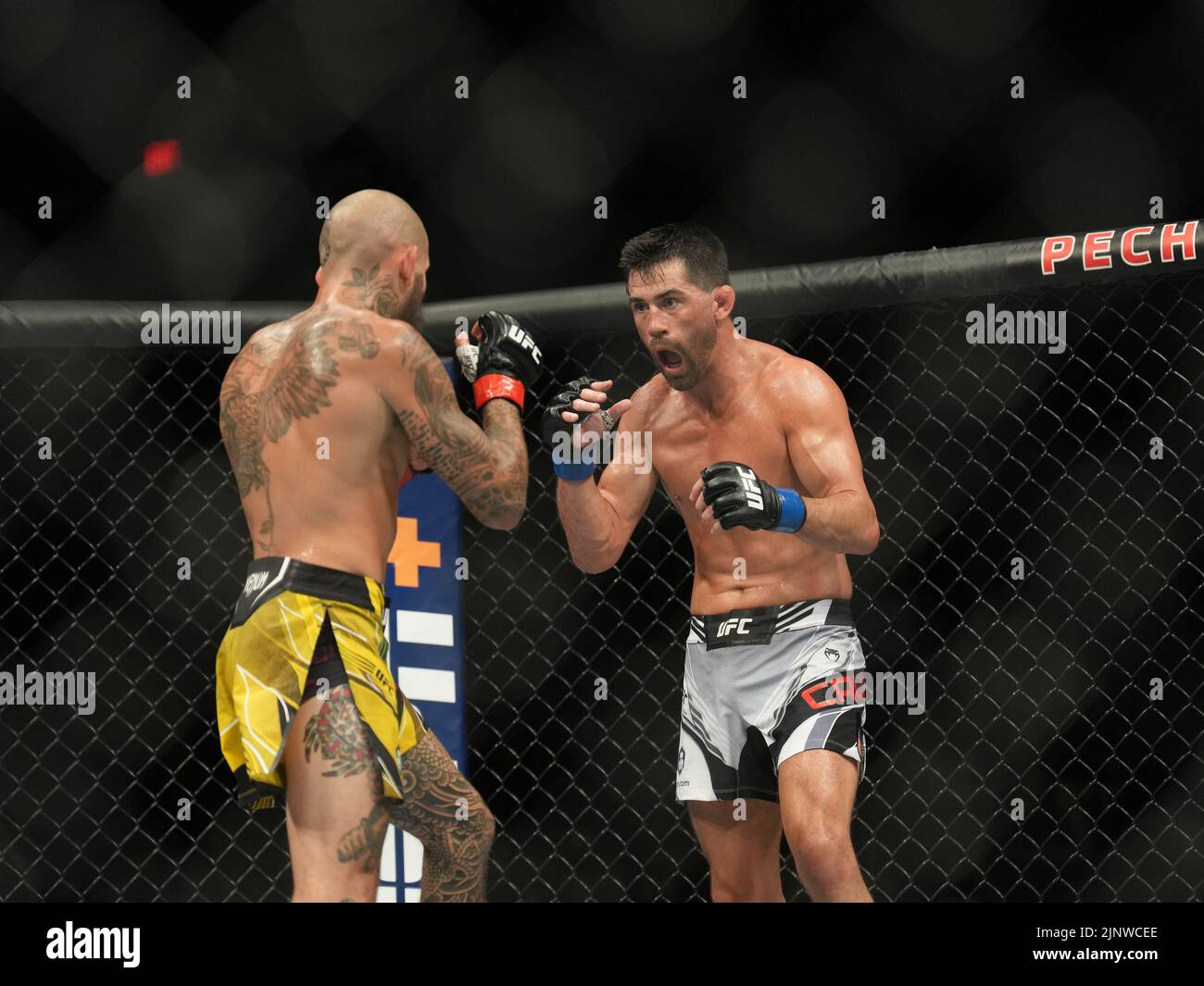 SAN DIEGO, CA - 13. AUGUST: (L-R) Marlon Vera kämpft während der UFC Fight Night: Vera gegen Cruz in der Pechanga Arena am 13. August 2022 in San Diego, Kalifornien, USA, gegen Dominic Cruz. (Foto von Louis Grasse/PxImages) Stockfoto