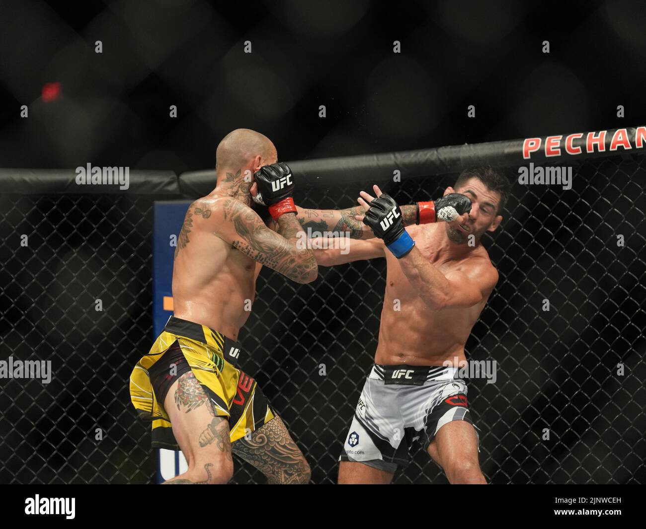 SAN DIEGO, CA - 13. AUGUST: (L-R) Marlon Vera schlägt Dominic Cruz in ihrem Bantamweight-Kampf während der UFC Fight Night: Vera gegen Cruz in der Pechanga Arena am 13. August 2022 in San Diego, Kalifornien, USA. (Foto von Louis Grasse/PxImages) Stockfoto