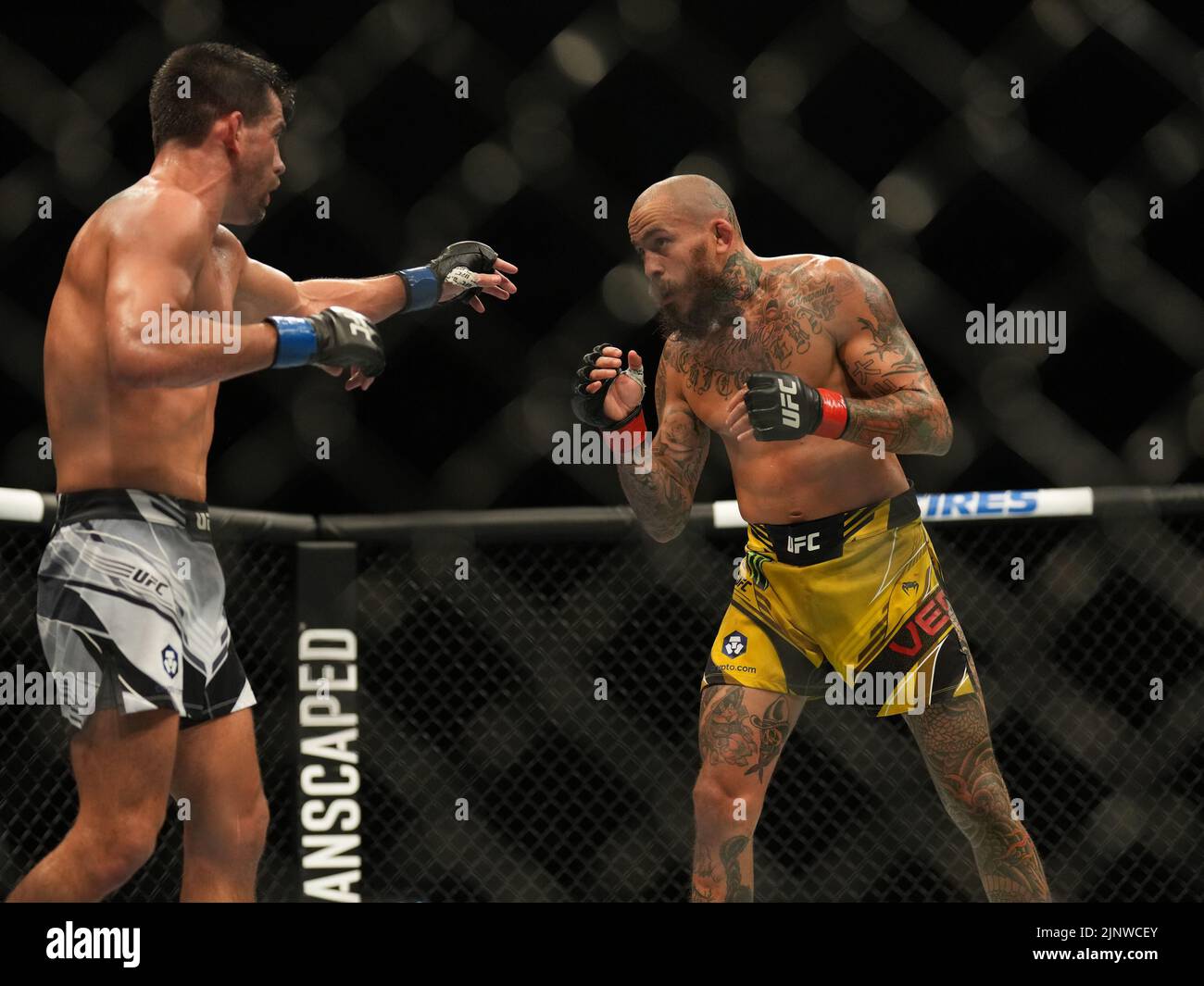 SAN DIEGO, CA - 13. AUGUST: (L-R) Dominic Cruz kämpft gegen Marlon Vera in ihrem Bantamweight-Kampf während der UFC Fight Night: Vera gegen Cruz in der Pechanga Arena am 13. August 2022 in San Diego, Kalifornien, USA. (Foto von Louis Grasse/PxImages) Stockfoto