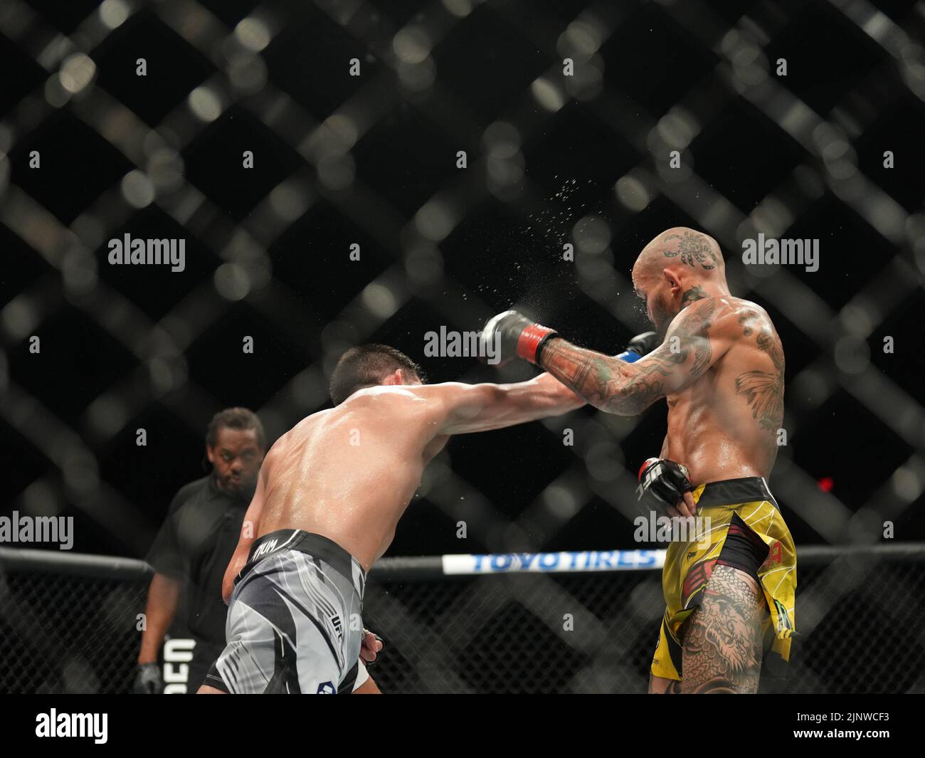 SAN DIEGO, CA - 13. AUGUST: (L-R) Dominic Cruz schlägt Marlon Vera in ihrem Bantamweight-Kampf während der UFC Fight Night: Vera gegen Cruz-Veranstaltung in der Pechanga Arena am 13. August 2022 in San Diego, Kalifornien, USA. (Foto von Louis Grasse/PxImages) Stockfoto