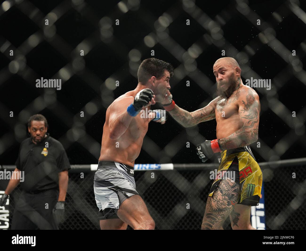 SAN DIEGO, CA - 13. AUGUST: (R-L) Marlon Vera schlägt Dominic Cruz in ihrem Bantamweight-Kampf während der UFC Fight Night: Vera gegen Cruz in der Pechanga Arena am 13. August 2022 in San Diego, Kalifornien, USA. (Foto von Louis Grasse/PxImages) Stockfoto