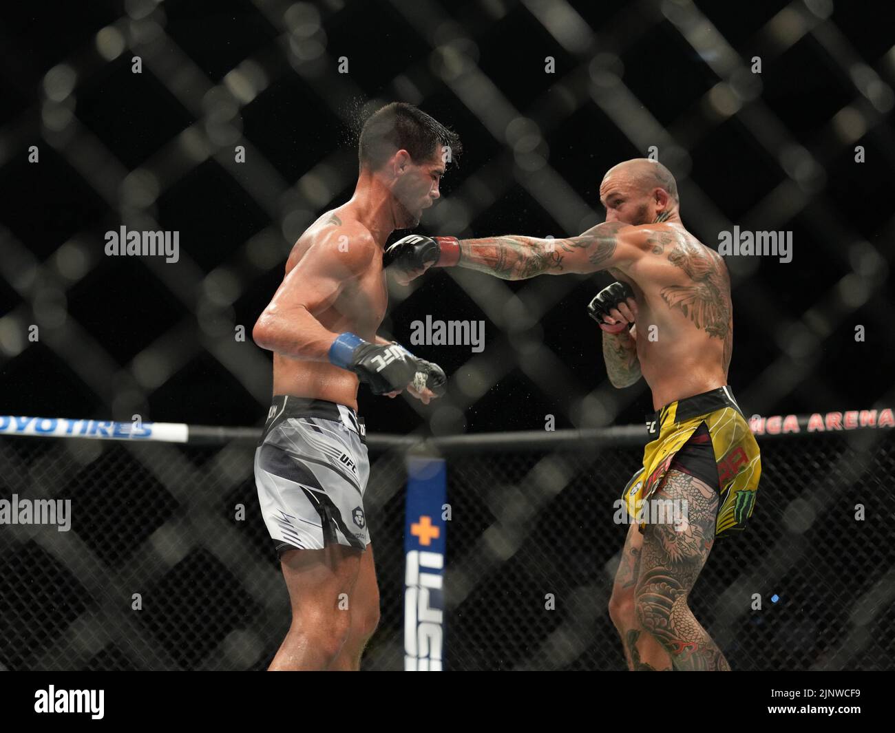 SAN DIEGO, CA - 13. AUGUST: (R-L) Marlon Vera schlägt Dominic Cruz in ihrem Bantamweight-Kampf während der UFC Fight Night: Vera gegen Cruz in der Pechanga Arena am 13. August 2022 in San Diego, Kalifornien, USA. (Foto von Louis Grasse/PxImages) Stockfoto