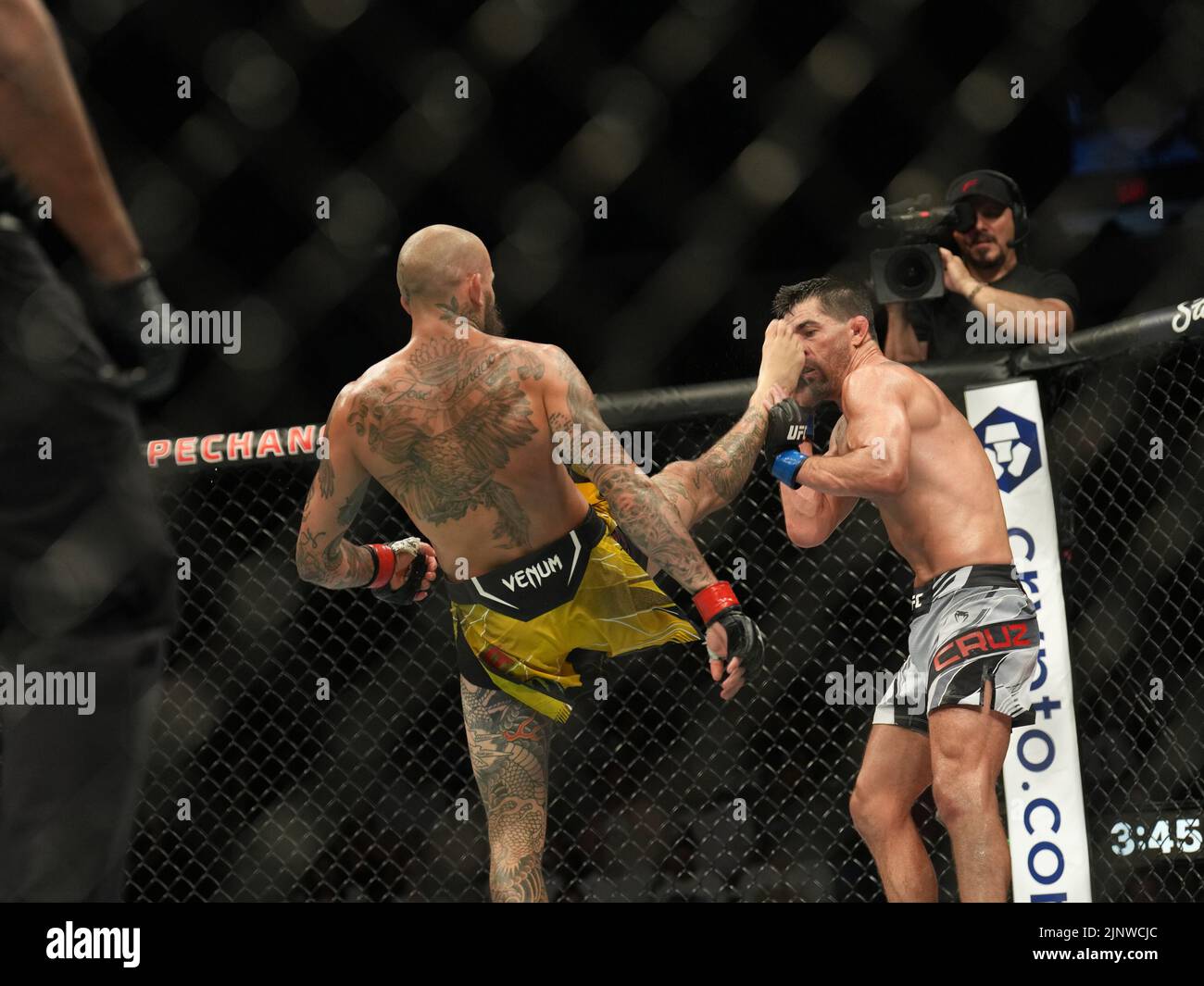 SAN DIEGO, CA - 13. AUGUST: (L-R) Marlon Vera tritt Dominic Cruz in ihrem Bantamweight-Kampf während der UFC Fight Night: Vera gegen Cruz-Veranstaltung in der Pechanga Arena am 13. August 2022 in San Diego, Kalifornien, USA, an. (Foto von Louis Grasse/PxImages) Stockfoto