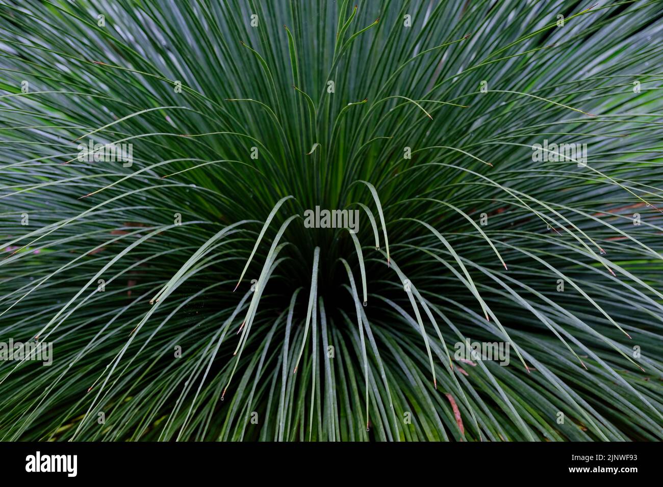 Reaching Out Stockfoto