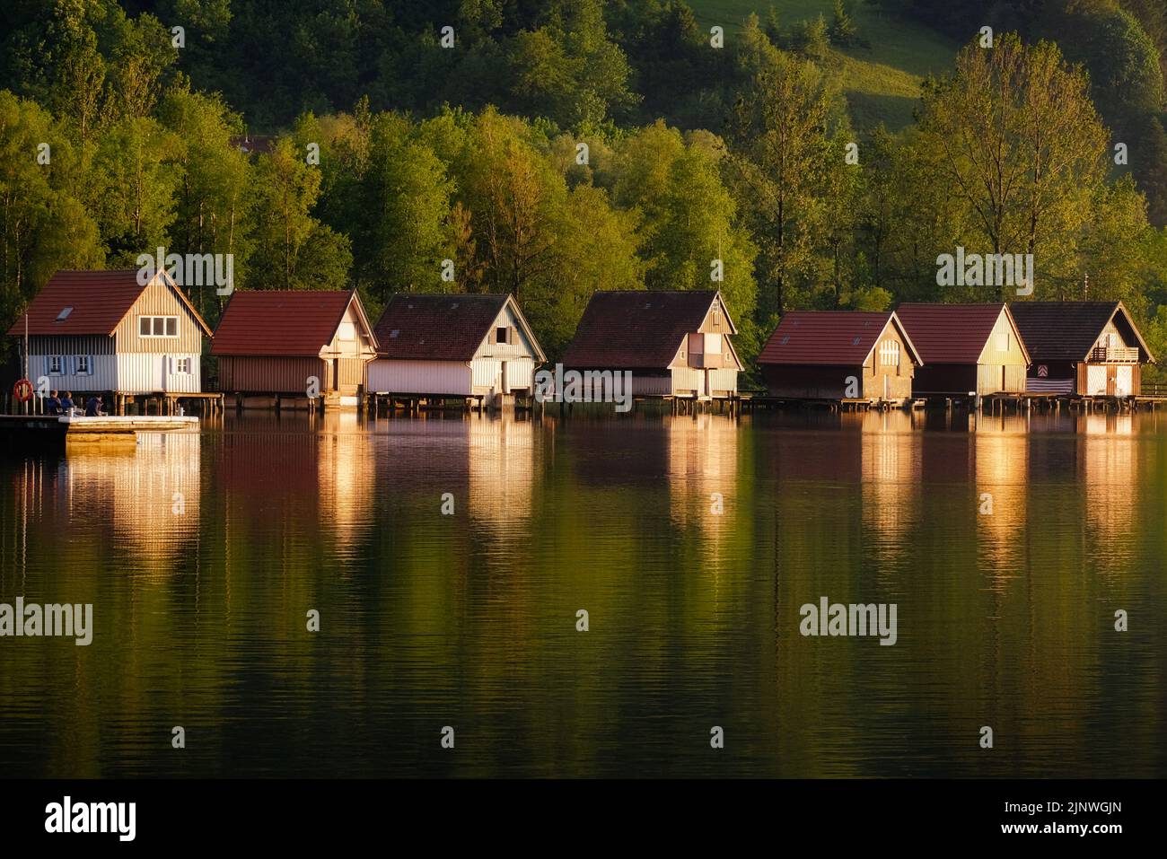 Spiegelung von Landhäusern im Wasser eines Sees in der Nähe von Immenstadt, Bayern, Allgäu Stockfoto