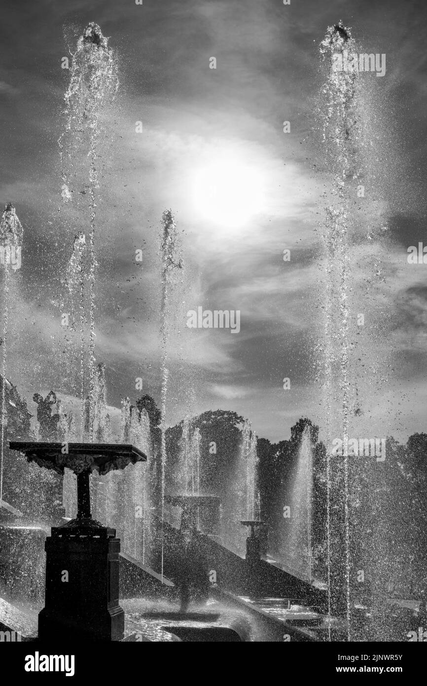 22. Juni 2022, Peterhof, Sankt Petersburg, Russland. Wasserstrahlen aus den Brunnenschüsseln der großen Kaskade in Peterhof, Russland. Schwarz-Weiß HDR-Phot Stockfoto