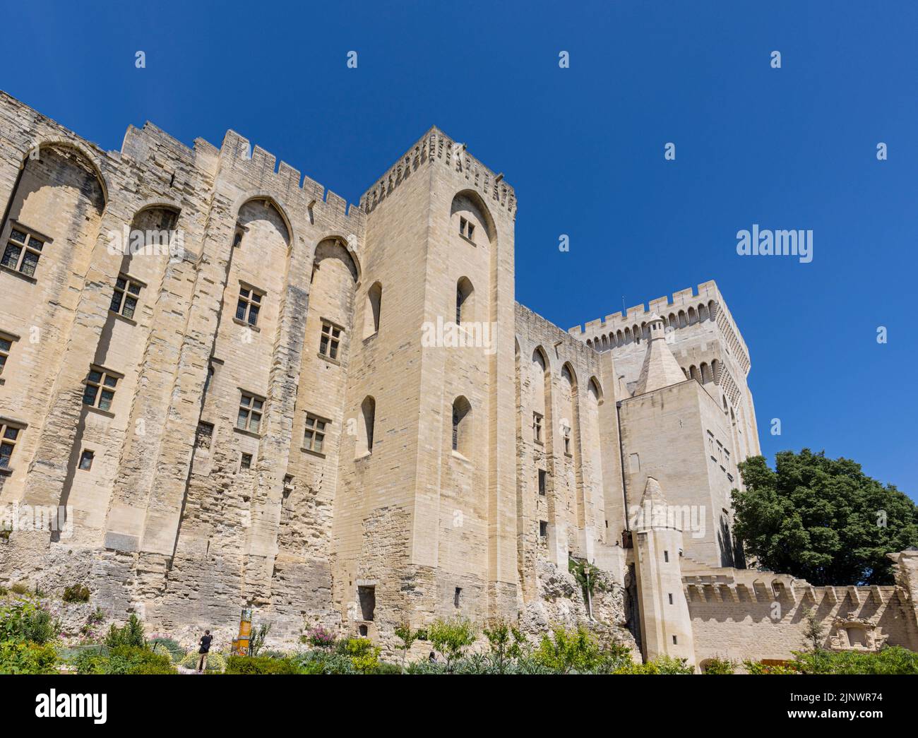 Der Papstpalast - Palast der Päpste, von den Gärten aus gesehen. Avignon, Vaucluse, Frankreich. Das historische Zentrum von Avignon ist eine UNESCO-Welterbe Stockfoto