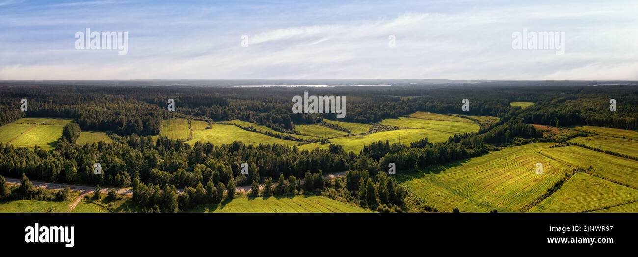 Grüne Felder und dunkler Wald Luftpanorama. Luftlandschaft mit landwirtschaftlichen Feldern und dunklen Wäldern an sonnigen Tagen Stockfoto