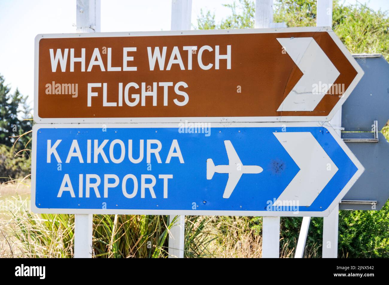Kaikoura Flughafen an der Südinsel Ostküste, Neuseeland Stockfoto