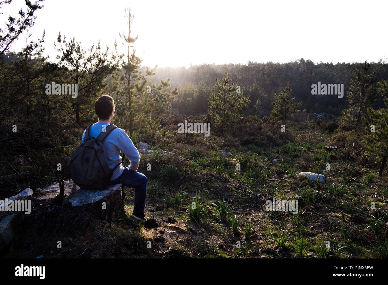 Wanderer, der sich ausruhte, während er den Sonnenuntergang auf einem Stumpf im Wald beobachtete Stockfoto