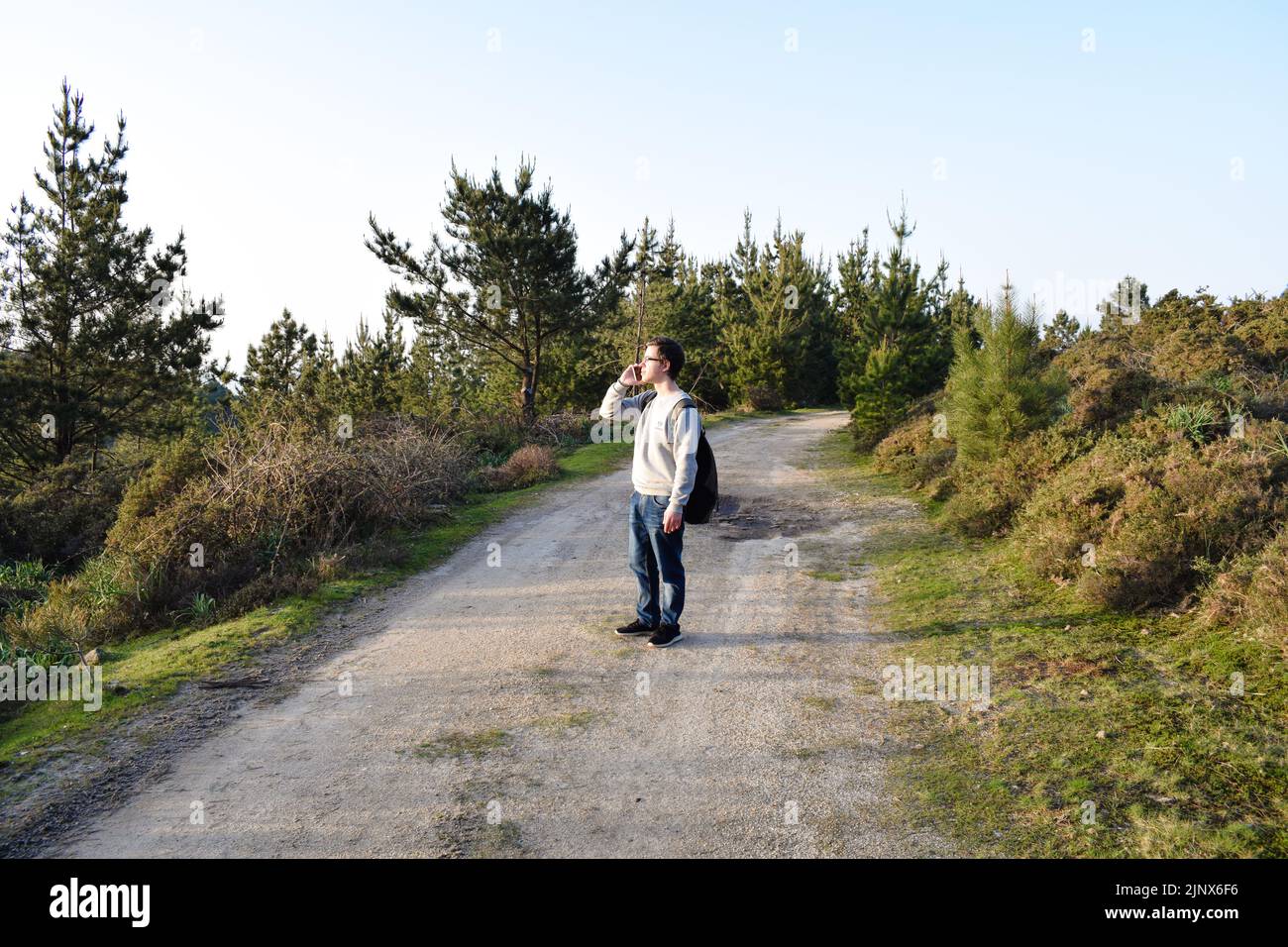 Wanderer, der mit dem Handy auf einem Waldweg spricht Stockfoto