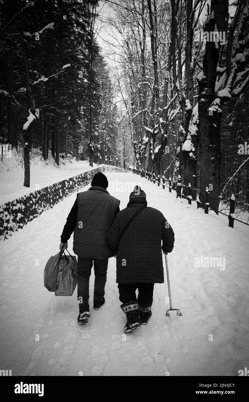 Liebevolles älteres Paar, das Arm in Arm durch einen verschneiten Wald in Sinaia, Rumänien, geht Stockfoto