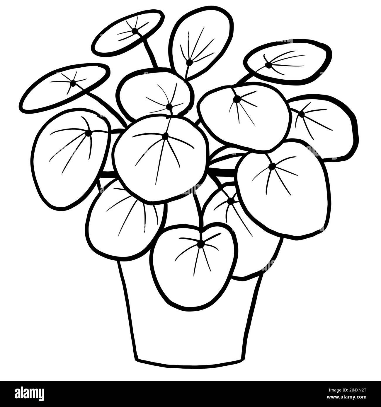Chinesische Geldanlage pilea in einem Topf in schwarzer Linie skizzieren Cartoon-Stil. Malbuch Zimmerpflanzen Blumen Pflanze für Interrior Design in einfachen minimalistischen Design, Pflanze Dame Geschenk Stockfoto