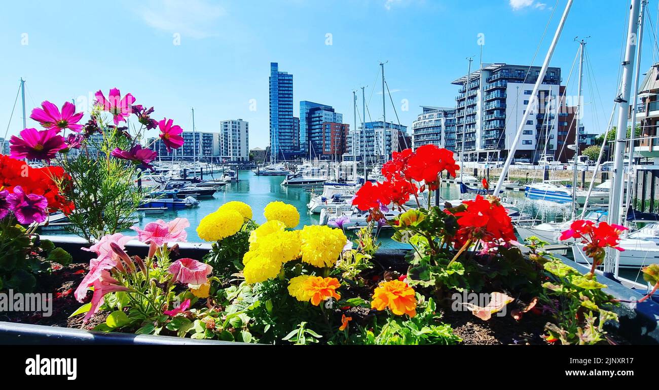 Ocean Village Marina - Southampton, Großbritannien Stockfoto