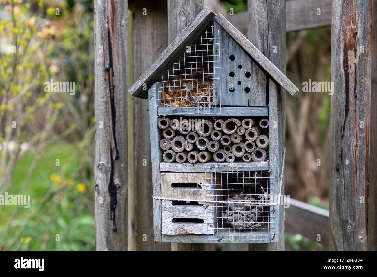 Hotel mit Holzwanzen. Verschiedene Bereiche für verschiedene Arten von Insekten. Konzept zur Anziehung von Insekten in Stadtgärten. Stockfoto