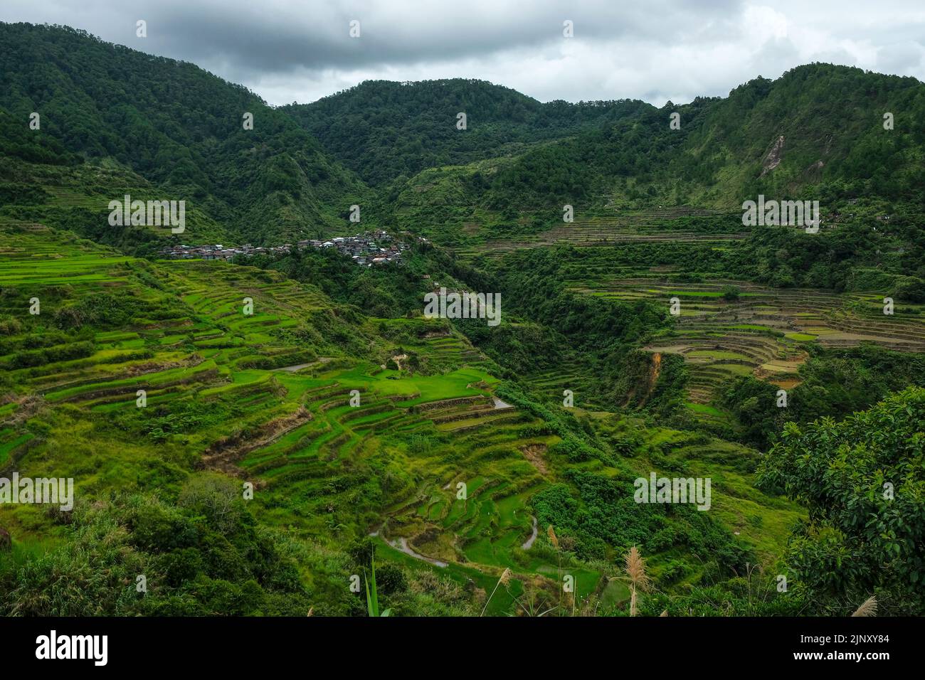 Reisterrassen bei Maligcong im Norden von Luzon, Philippinen. Stockfoto