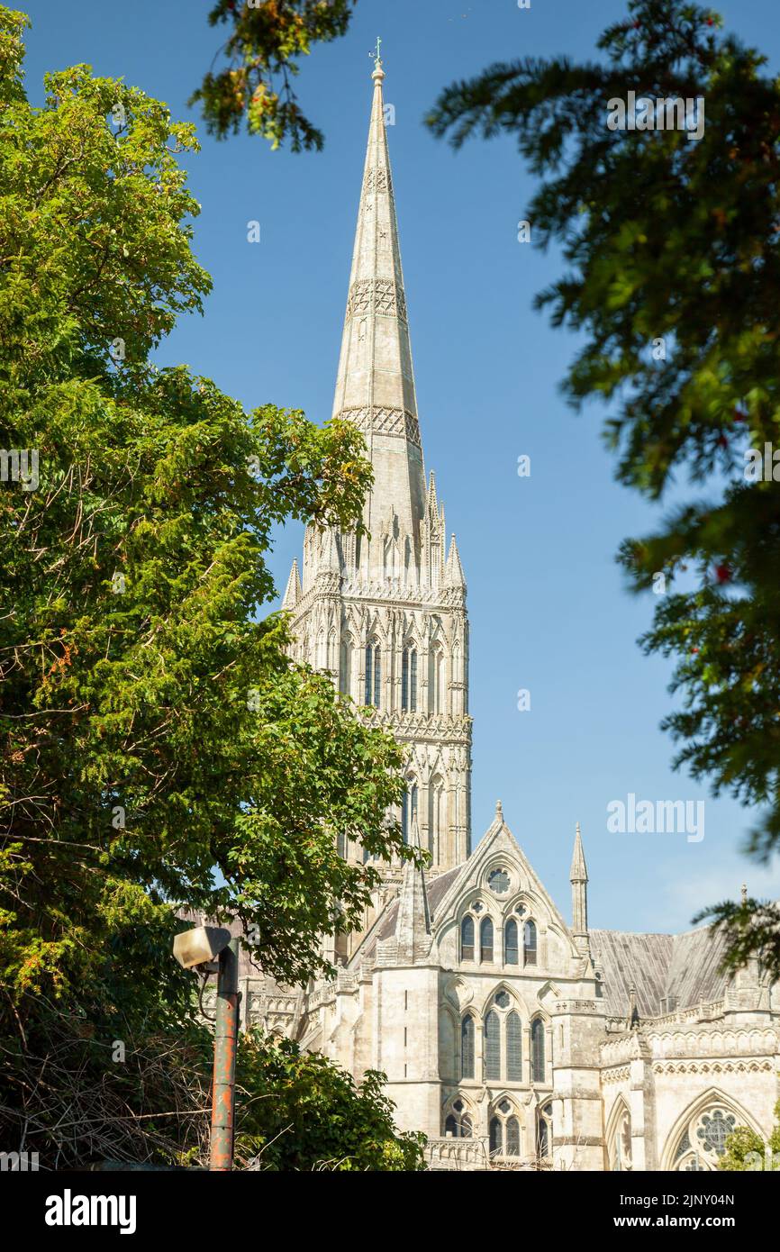 Salisbury Cathedral im Sommer, Salisbury, Wiltshire, England. Stockfoto