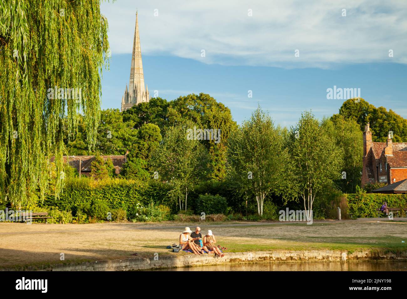 Sommerabend in den Queen Elizabeth Gardens in Salisbury, Wiltshire, England. Stockfoto