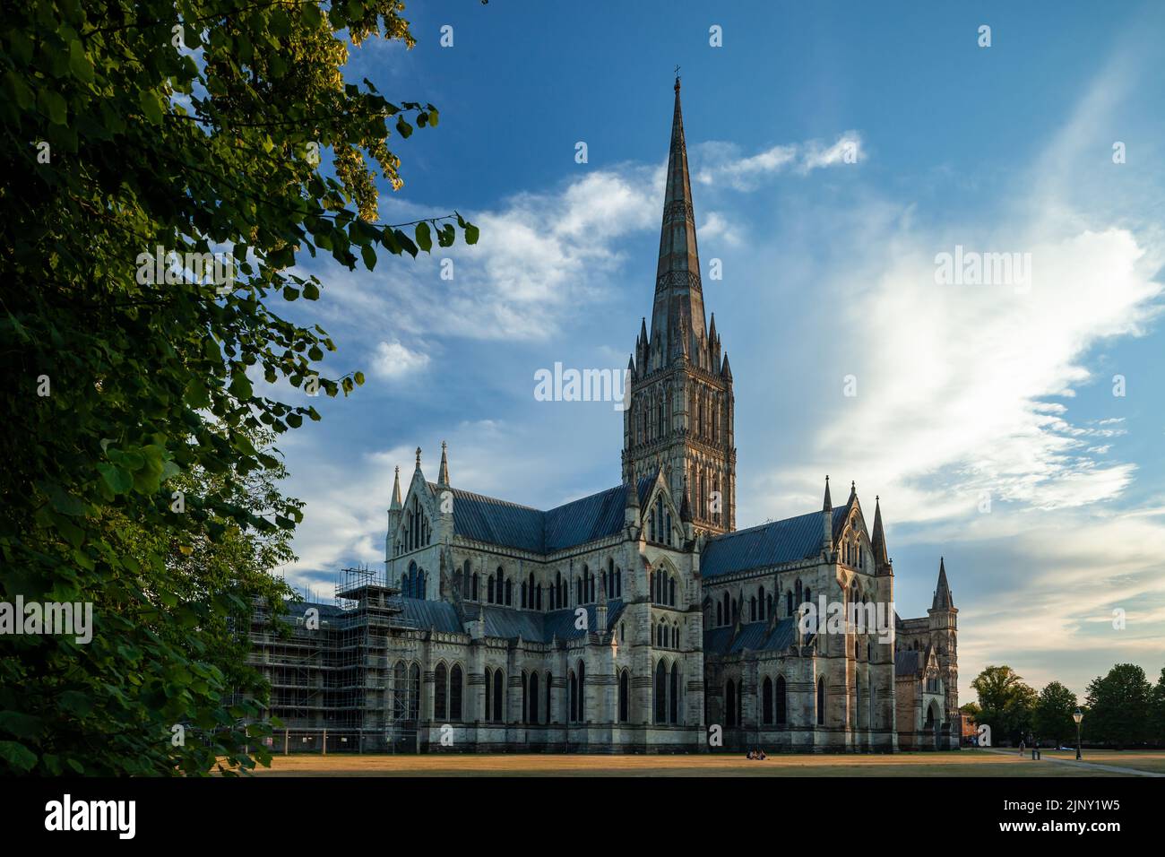 Sommernachmittag in der Kathedrale von Salisbury, Salisbury, England. Stockfoto