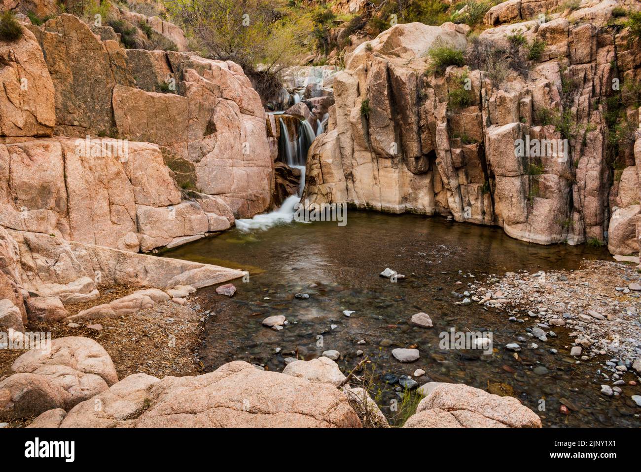 Granitwasserfall bei den Camp Creek Falls im Tonto National Forest nordöstlich von Cave Creek, Arizona, USA Stockfoto